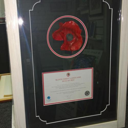Poppy and Certificate - white frame